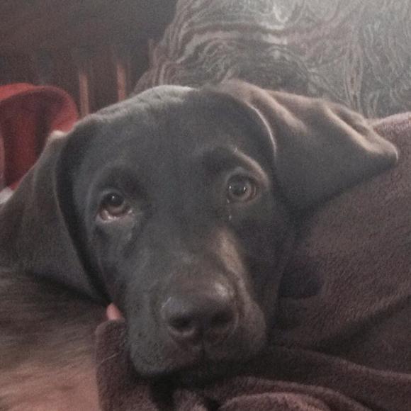 Meet your Posher, Sandra - Picture 1 of 1